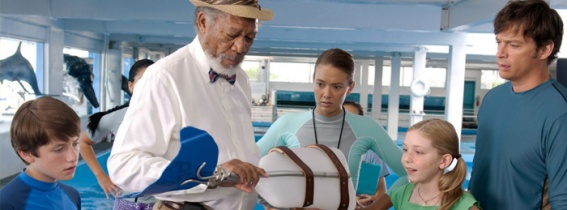 Dolphin Tale