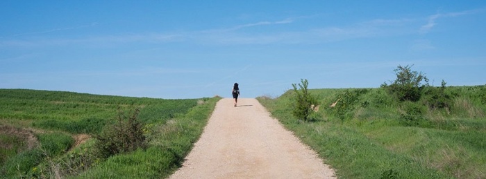 Camino Skies