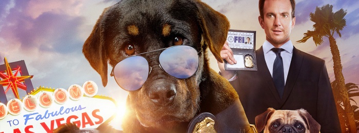 Show Dogs