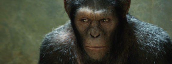 Rise of the Planet of the Apes