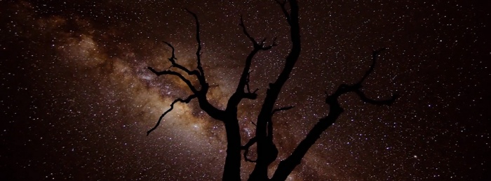 Living Universe