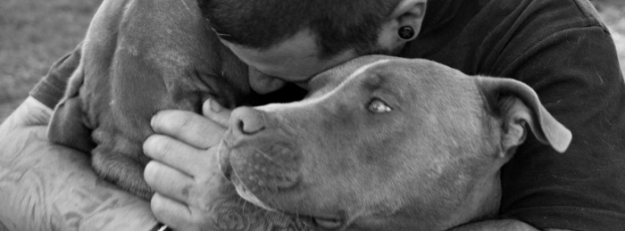 Dog's Best Friend