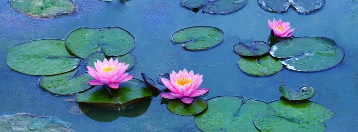 Water Lilies of Monet: the Magic of Water and Light