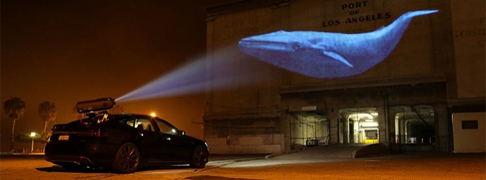Racing Extinction