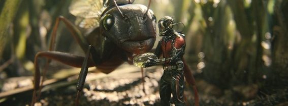 Ant-Man