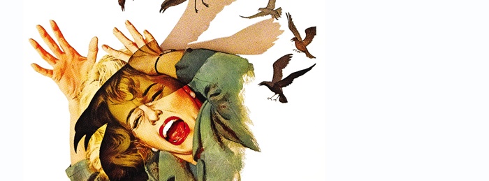 The Birds