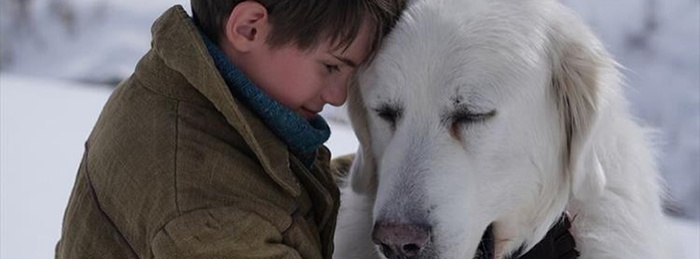Belle & Sebastian: Friends For Life