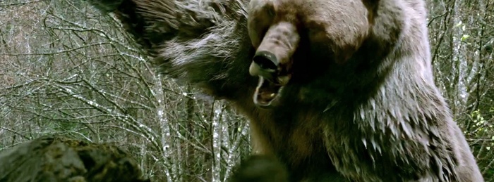 Into the Grizzly Maze