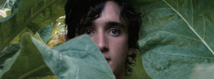 Happy As Lazzaro