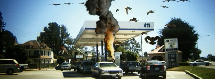 Birdemic: Shock and Terror