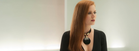 Nocturnal Animals