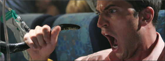 Snakes On A Plane