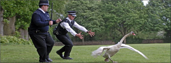 Hot Fuzz