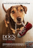 A Dog's Way Home's poster