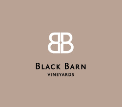 Black Barn OpenAir Cinema