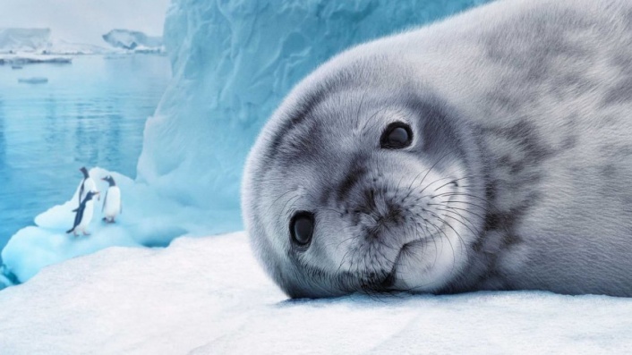 Antarctica (2021)