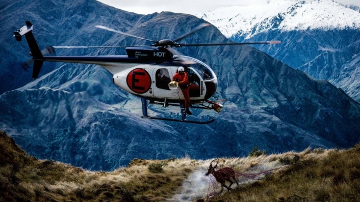 Deer Wars