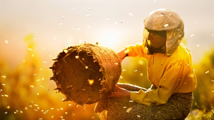 Honeyland