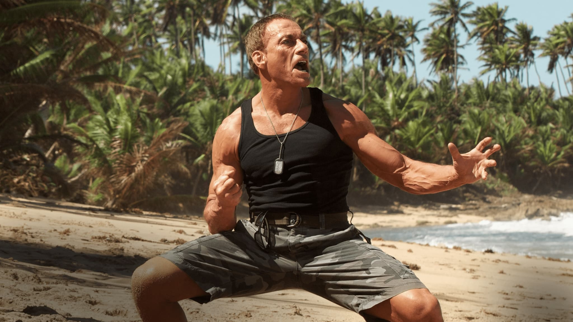 Welcome to the Jungle | Where to watch streaming and online in New ...