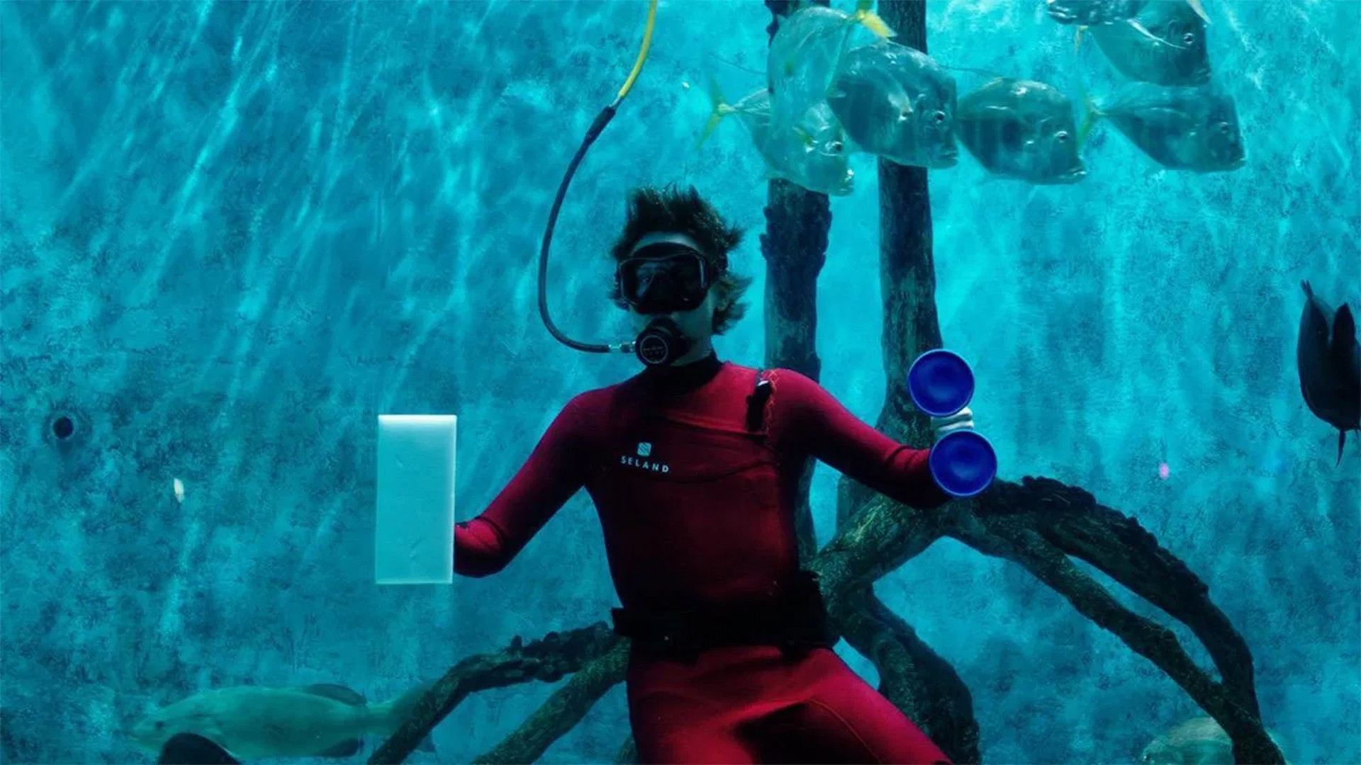 Mermaid (2025) | Where to watch streaming and online in New Zealand ...