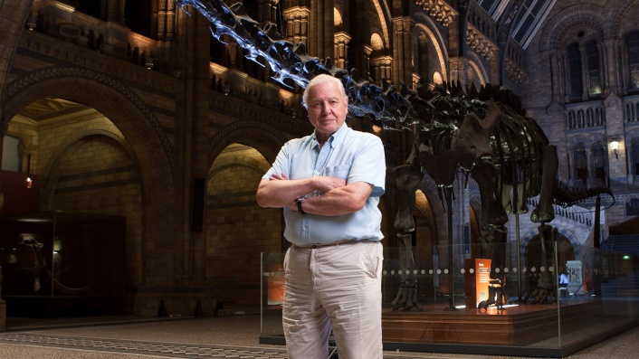 Natural History Museum Alive 3D