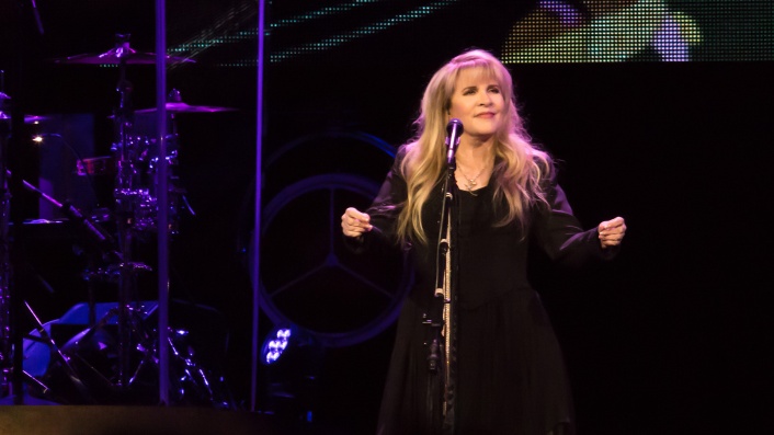 Stevie Nicks: 24 Karat Gold