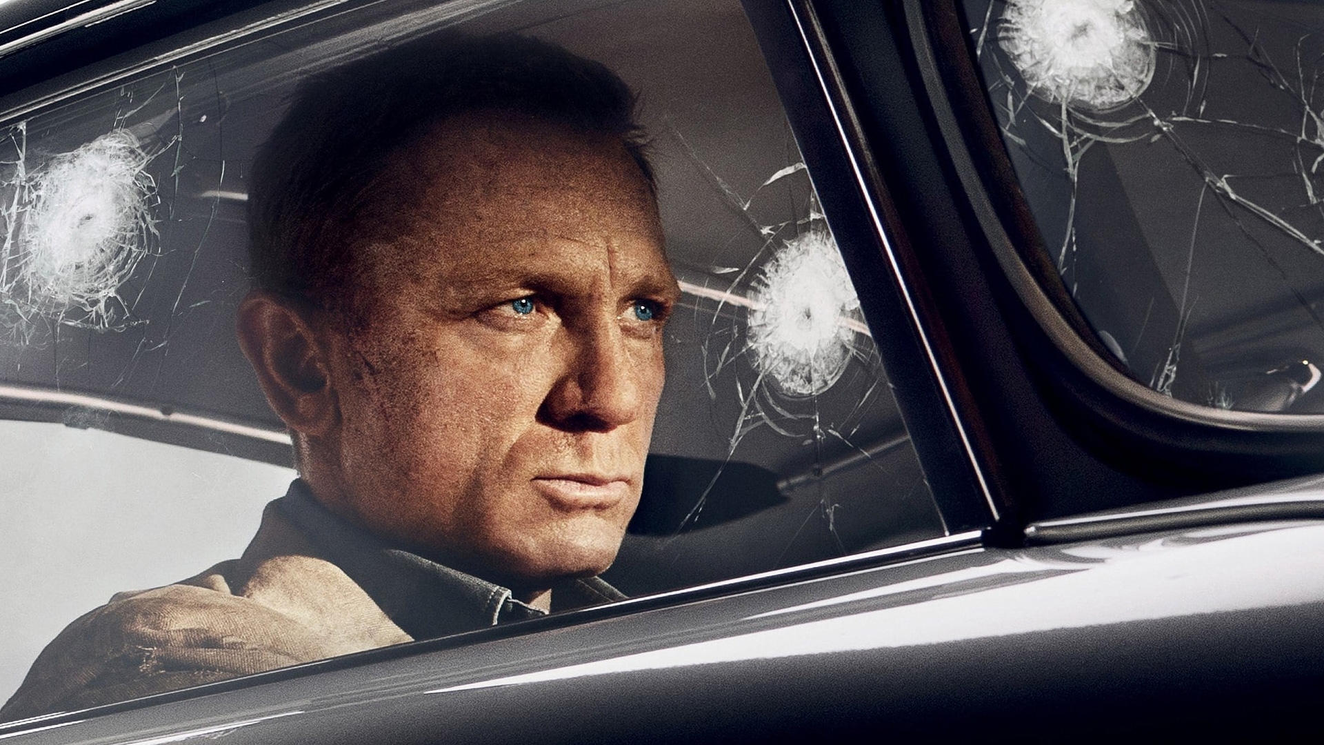 Movies &amp; TV Series Coming Soon to New Zealand Flicks.co.nz