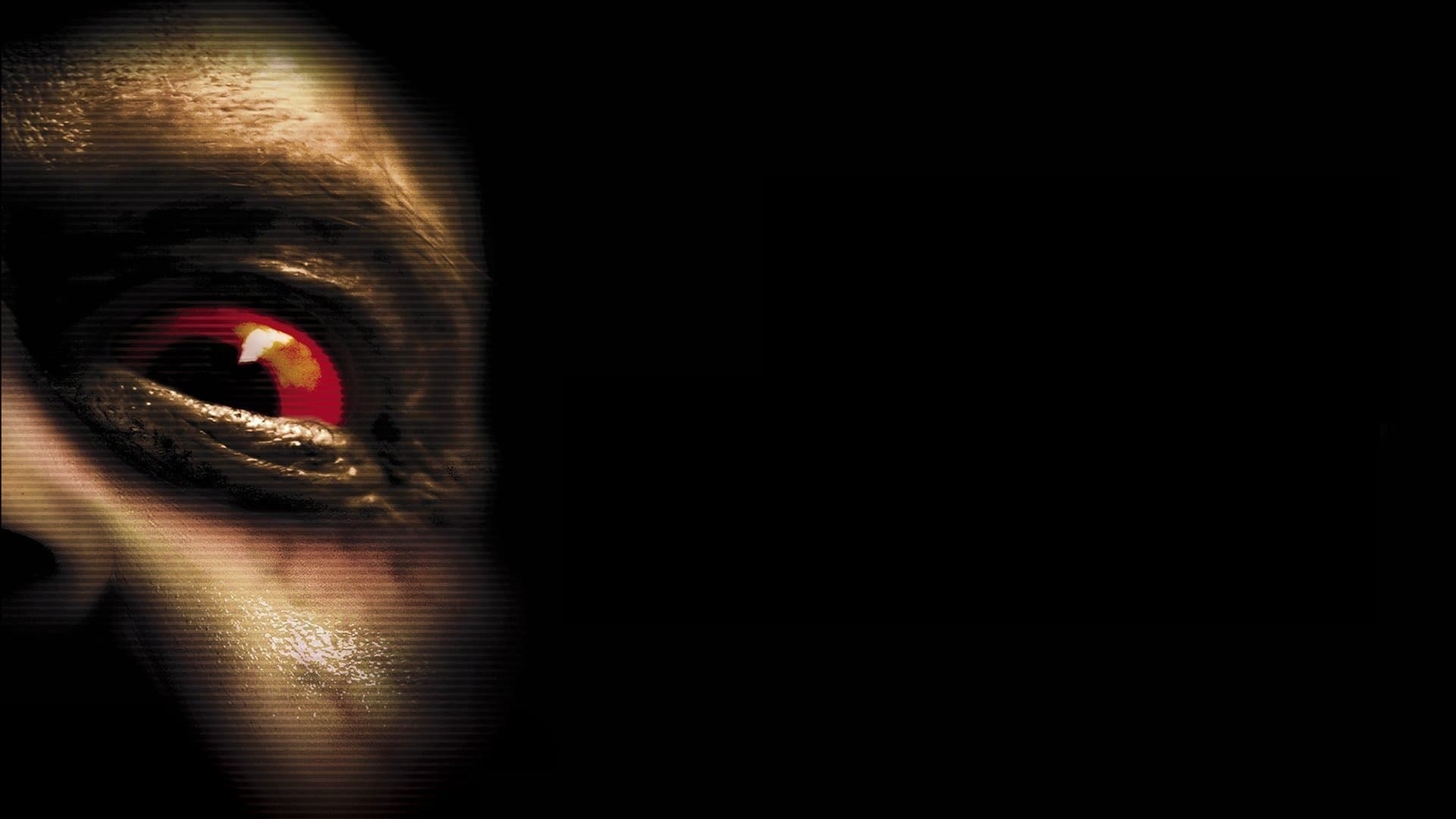 [REC] 2 | Where to watch streaming and online in New Zealand | Flicks