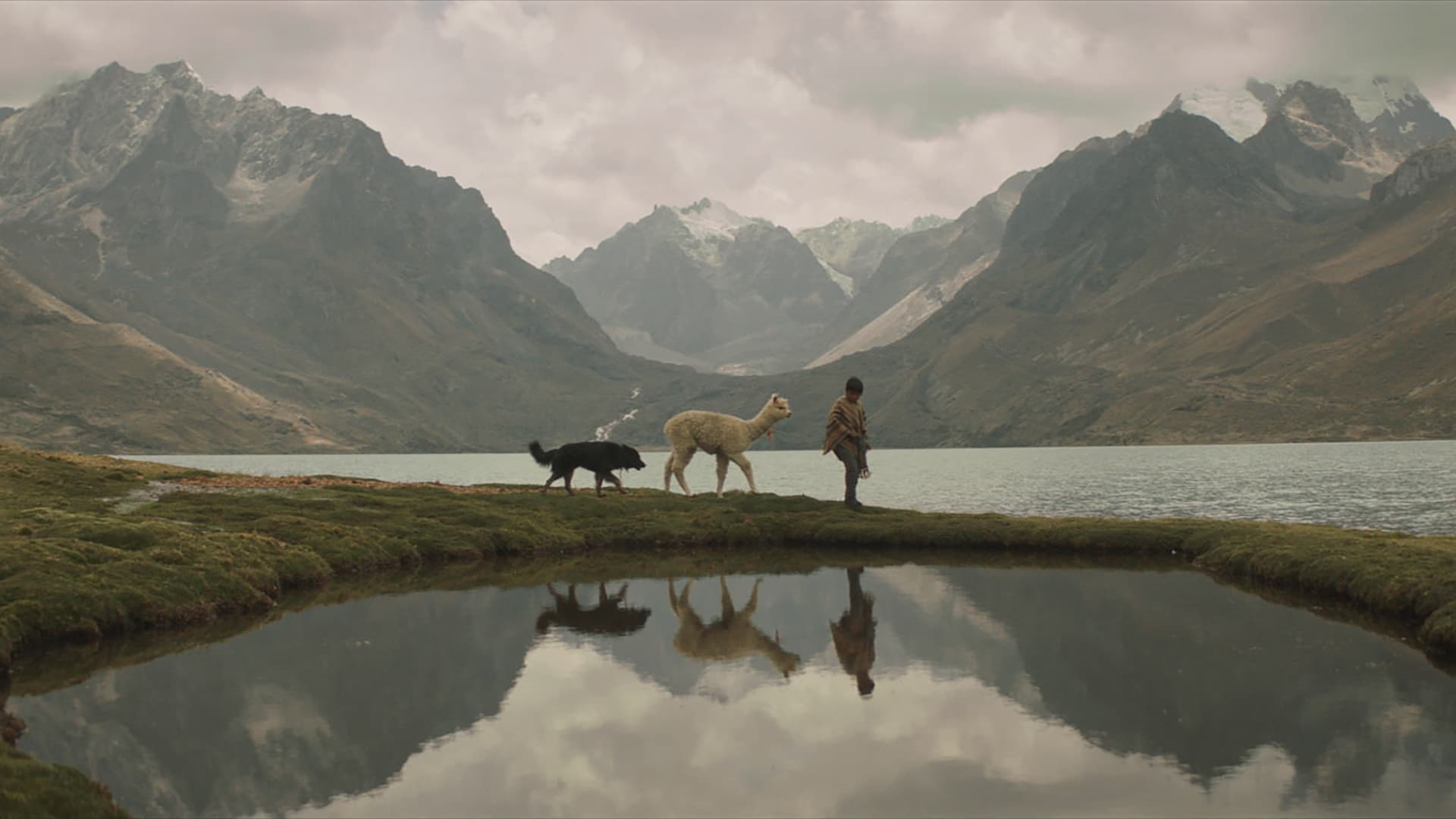 Movie Using All Rocks Through Rocks and Clouds | Where to watch streaming and online in New ...