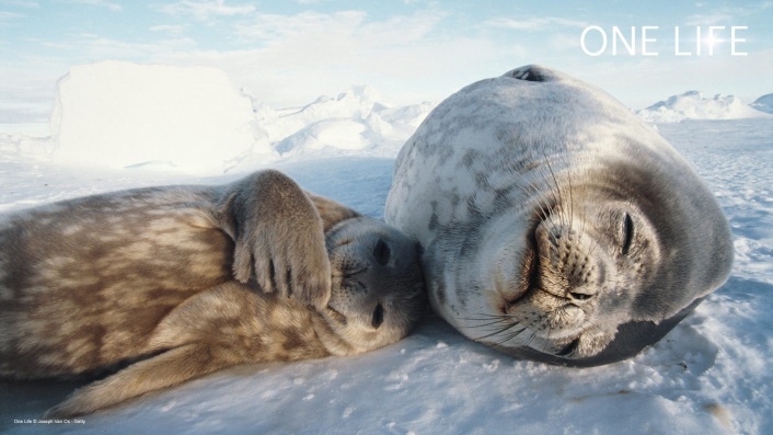 One Life (2011) | Where to watch streaming and online in New Zealand ...