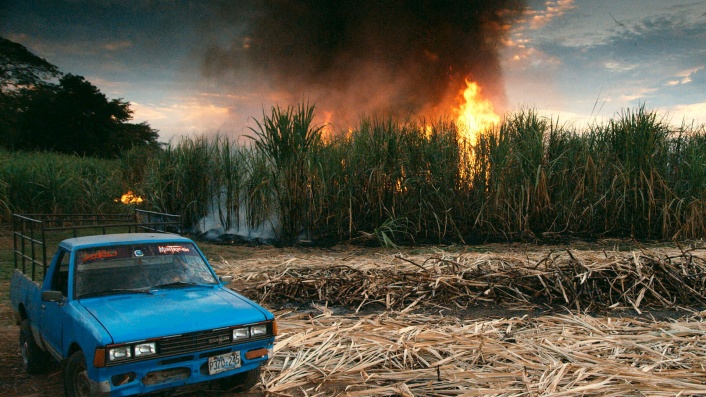 This Changes Everything (2015)