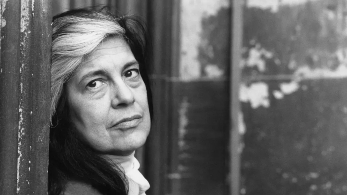 Regarding Susan Sontag