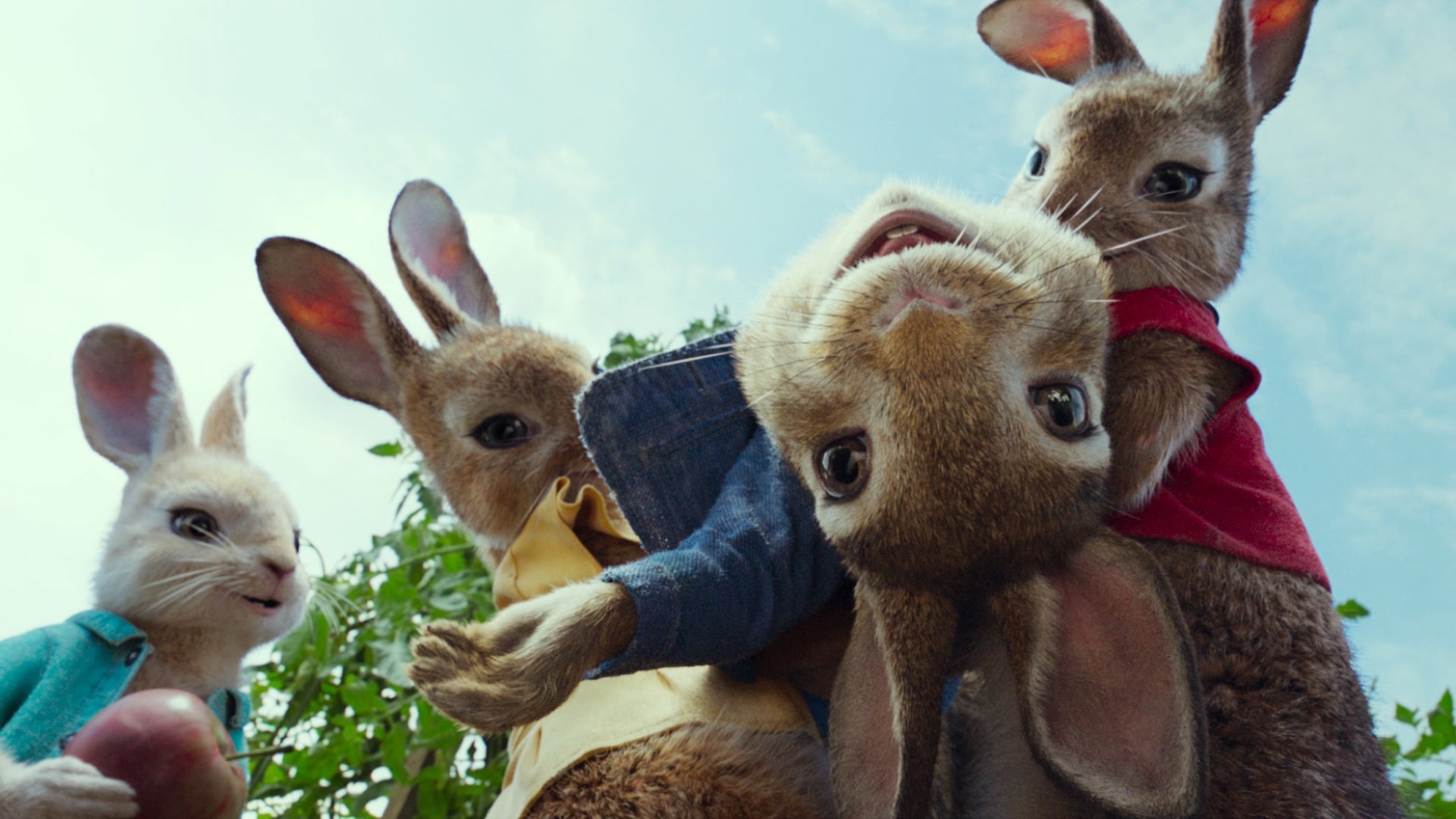 Peter Rabbit | Where to watch streaming and online in Australia | Flicks