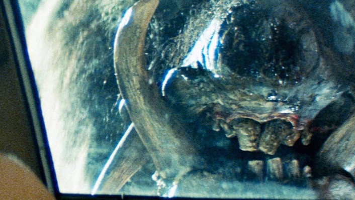 Razorback