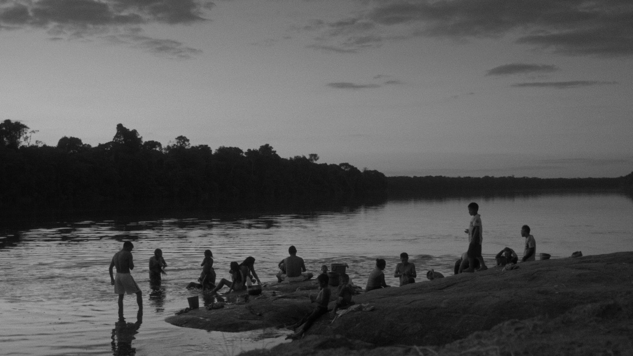 Adieu Sauvage