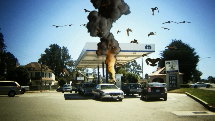 Birdemic: Shock and Terror