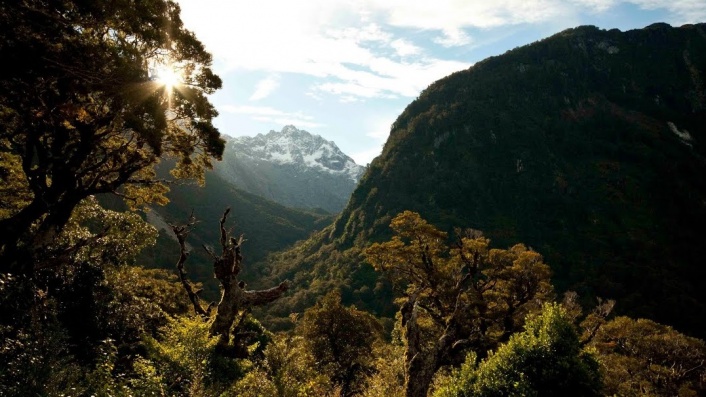 Poisoning Paradise: Ecocide New Zealand