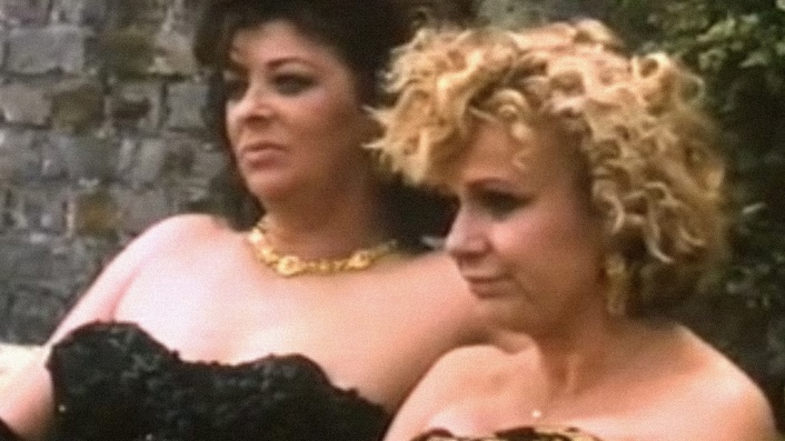 Brazen Hussies (1996)