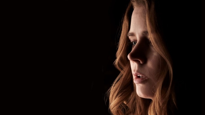 The Woman in the Window (2020)