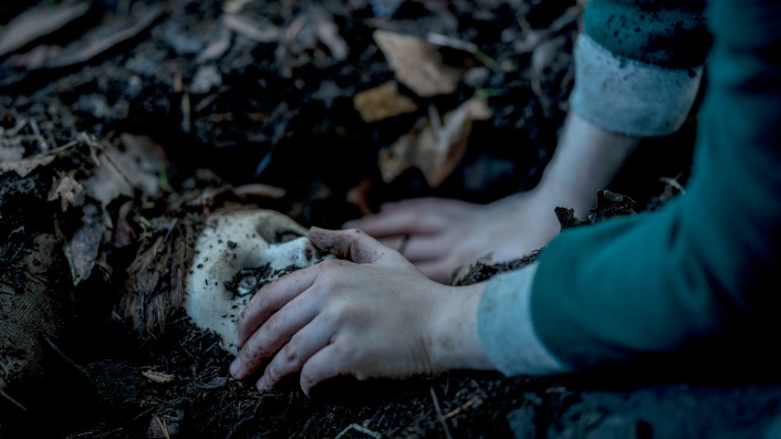 Brahms: The Boy II