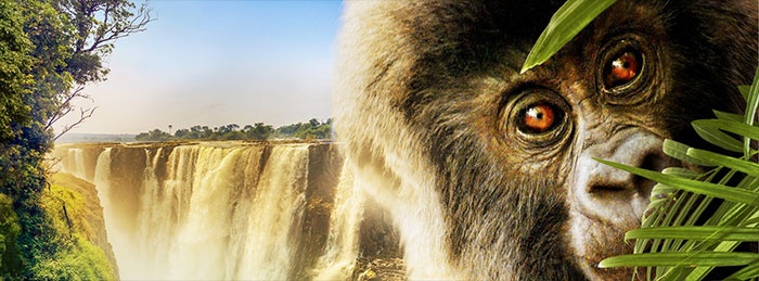 Wild Africa 3D