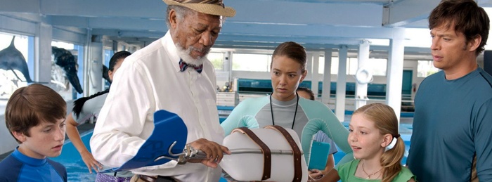 Dolphin Tale 2