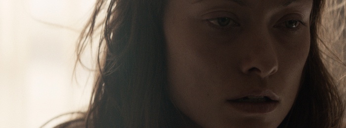 Meadowland