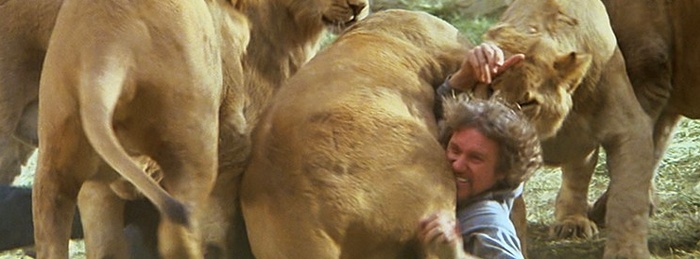 Roar