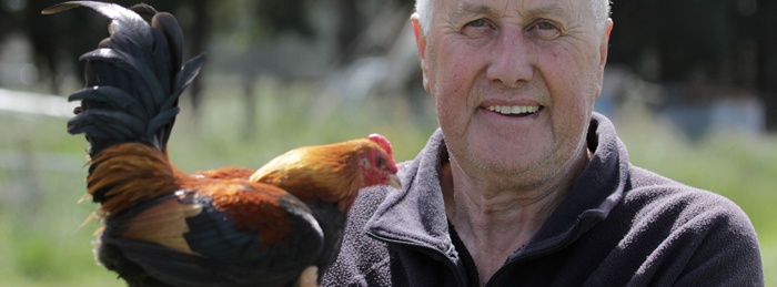 Pecking Order