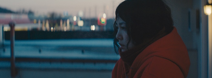 Kumiko, the Treasure Hunter