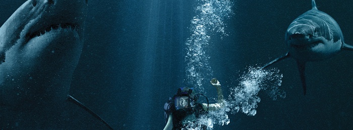 47 Metres Down