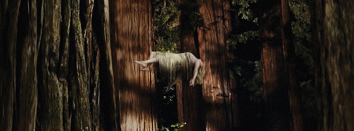 Woodshock