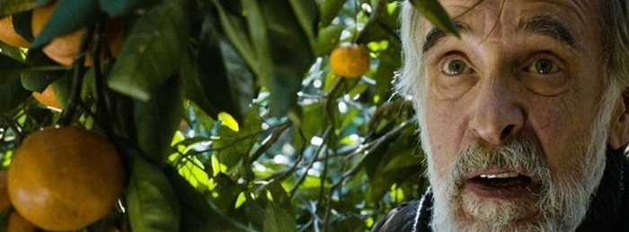 Tangerines