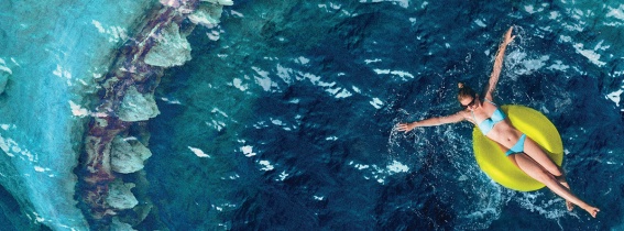 the meg movie stream
